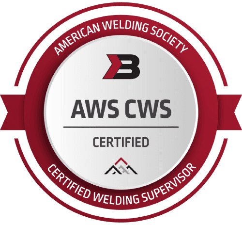 AWS Certified Professionals