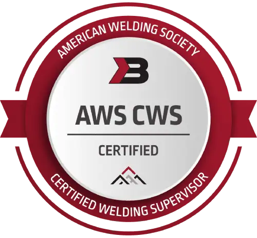 AWS Certified Professionals